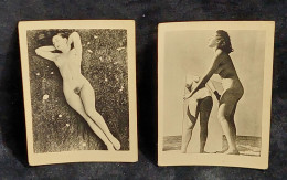 C6/9 - 2 Fotos * Mulheres * Desnudos * Antique * Photo - Ohne Zuordnung