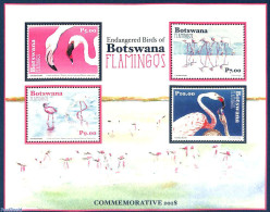 Botswana 2018 Flamingos 4v M/s, Mint NH, Nature - Birds - Botswana (1966-...)