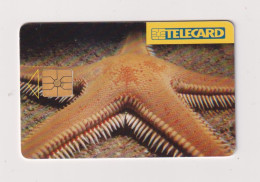 CZECH REPUBLIC - Starfish Chip Phonecard - Tsjechië