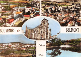 42-BELMONT DE LA LOIRE-N°T556-B/0005 - Belmont De La Loire