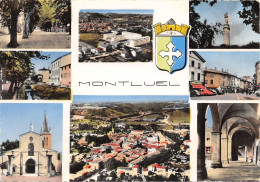 01-MONTLUEL-N°T564-B/0389 - Montluel