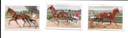 BR63 - IMAGES CIGARETTES JOSETTI - CHEVAUX DE COURSES - TROP ATTELE - Equitazione