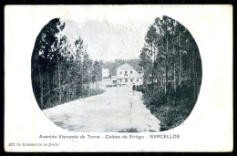 BARCELOS - CALDAS DE EIRÔGO - Avenida Visconde Da Torre. ( Ed. Off. Do Commercio Do Porto) Carte Postale - Braga