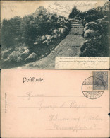 Ansichtskarte Dahlem-Berlin Neuer Botanischer Garten, Aufgang 1905 - Dahlem