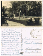 Ansichtskarte Reichenbach (Vogtland) Trinitatiskirche Park-Anlagen 1960 - Reichenbach I. Vogtl.