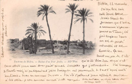 Environs De BISKRA Ruines D Un Fort Arabe 14(scan Recto-verso) MA489 - Biskra