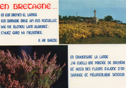 CPM - K - BRETAGNE - FLEURS DE BRETAGNE - AJONC - BRUYERE - Bourgogne