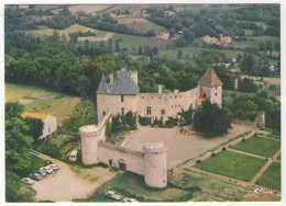 GF (63) 235, Aigueperse, Château De La Roche, Fief Du Chancelier Michel De L'Hopital  - Aigueperse