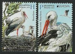 BIELORRUSIA /BELARÚS /WEISSRUSSLAND - EUROPA 2019 -NATIONAL BIRDS.-"AVES -BIRDS -VÖGEL-OISEAUX"- SERIE N - 2019