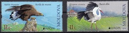 MOLDAVIA /MOLDOVA /MOLDAWIEN  - EUROPA 2019 -NATIONAL BIRDS.-"AVES - BIRDS - VÖGEL -OISEAUX"- SERIE De 2 V. - 2019