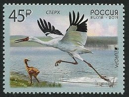 RUSIA 2019 /RUSSLAND /RUSSIA - EUROPA 2019 -" AVES - BIRDS - VÖGEL - OISEAUX"- GRULLA BLANCA DE SIBERIA - SERIE De 1 V. - 2019