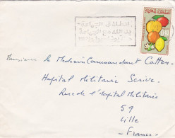 Maroc --1967 - Lettre De RABAT Pour LILLE-59 (France)..tp Fruit  Seul Sur Lettre - Morocco (1956-...)