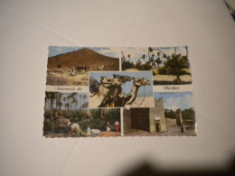 Delcampe - Algerie  Souvenir De Béchar Multivues 5   écrite - Bechar (Colomb Béchar)