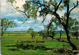 20-2-2024 (4 X 42) Australie - NSW - Tree & Farming In Narrandera - Alberi