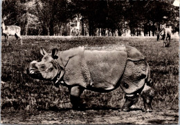 20-2-2024 (4 X 43) Genoline - Black & White (posted In 1956) NO NUMBER !? - Asian ? Rhinoceros - Neushoorn