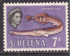 St Helena 1961 QE2 7d Trumpet Fish MM SG 182 ( A615 ) - Saint Helena Island