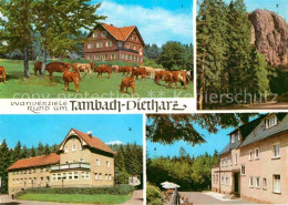 72751829 Tambach-Dietharz Berghotel Ebertswiese Falkenstein Radebachmuehle HOG W - Tambach-Dietharz