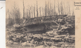 TERVUEREN   LE PONT RUSTIQUE - Tervuren