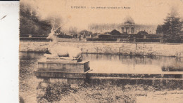 TERVUEREN   LES JARDINS ET TERRASSES ET LE  MUSEE - Tervuren