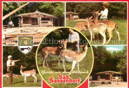 72744915 Bad Sassendorf Freiherr Von Wintzigerode Wildpark Rehkitz Blockhaus Wal - Bad Sassendorf