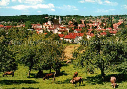 72743066 Lindenberg Allgaeu Panorama Kuehe Lindenberg I.Allgaeu - Lindenberg I. Allg.