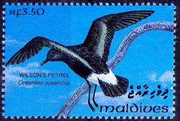 Maldives 1993 MNH, Wilsons Petrel, Water Birds - Albatro & Uccelli Marini