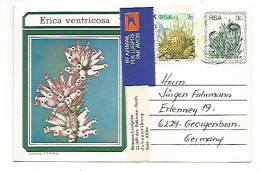 South Africa PSC Plants Trees  C3 Erica Ventricosa Uprated Airmail Rate With C7 Johannesburg 10apr1978 X Germany - Poste Aérienne