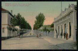 ANADIA - Avenida José Luciano De Castro. ( Ed. De Justino De Sampaio Alegre) Carte Postale - Aveiro