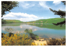 07 Le Lac-d'Issarlès     Réservoir Hydro électrique De MONTPEZAT    Le Béage Cratère   (Scan R/V) N°   7   \PB1102 - Saint Martin De Valamas