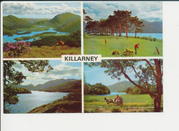 Killarney Irlande Kerry Terrain De Golf Sport Lacs 2/402 - Kerry