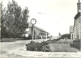 Oostzaan, Dahliasingel - Zaanstreek