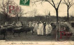 ARGELIA. ALGERIE. Medea Le Marché Aux Bestiaux - Médéa