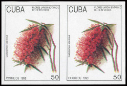 Cuba, 1993, 3693-98 U (2), Ohne Gummi - Kuba