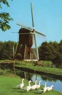 CPM - M - HOLLANDE - PAYS BAS - NEDERLAND - HAARLEM - WIP - WATERMOLEN - Haarlem