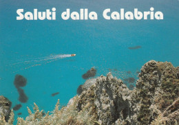 U5376 Saluti Dalla Calabria - Panorama Da Una Scogliera / Viaggiata 1996 - Andere & Zonder Classificatie