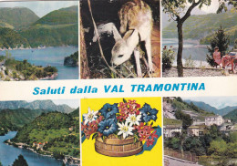 Cartolina Val Tramontina ( Pordenone ) Saluti Con Vedutine - Pordenone