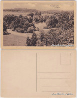 Ansichtskarte Plauen (Vogtland) Stadtpark 1924 - Plauen