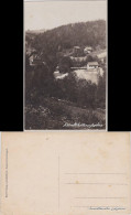 Lauenstein (Erzgebirge)-Altenberg (Erzgebirge) Blick Auf Die Stadt 1928  - Lauenstein