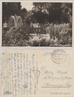Ansichtskarte Tuttlingen Partie Im Stadtgarten 1941  - Tuttlingen