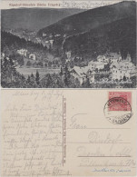 Ansichtskarte Kipsdorf-Altenberg (Erzgebirge) Panorama 1923  - Kipsdorf