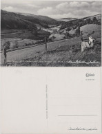 Ansichtskarte Waldeck (am Edersee) Blick Ins Tal 1959  - Waldeck