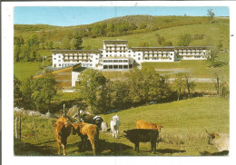 12.155 /LAGUIOLE - Le Foyer " Ecole Et Neige" - Laguiole