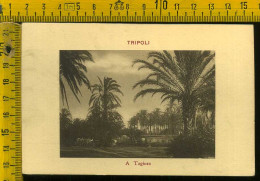Tripoli A Tagiura - Libia