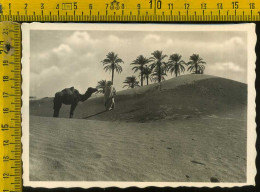 Tripoli Deserto - Libia