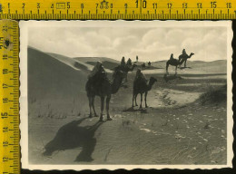 Tripoli Deserto - Libia