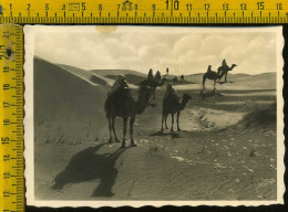 Tripoli Deserto - Libia