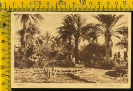 Tripoli Giardino - Libia