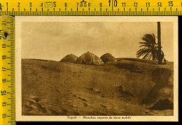 Tripoli Moschea Coperta Da Dune Mobili - Libia