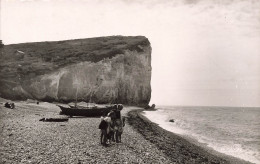 FRANCE - Saint Pierre En Port - La Plage Et Falaises D'aval - Carte Postale - Andere & Zonder Classificatie