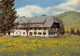 BERNAU / Hochschwarzwald, Gasthof Und Pension „RöSSLE" (1090) - Hochschwarzwald